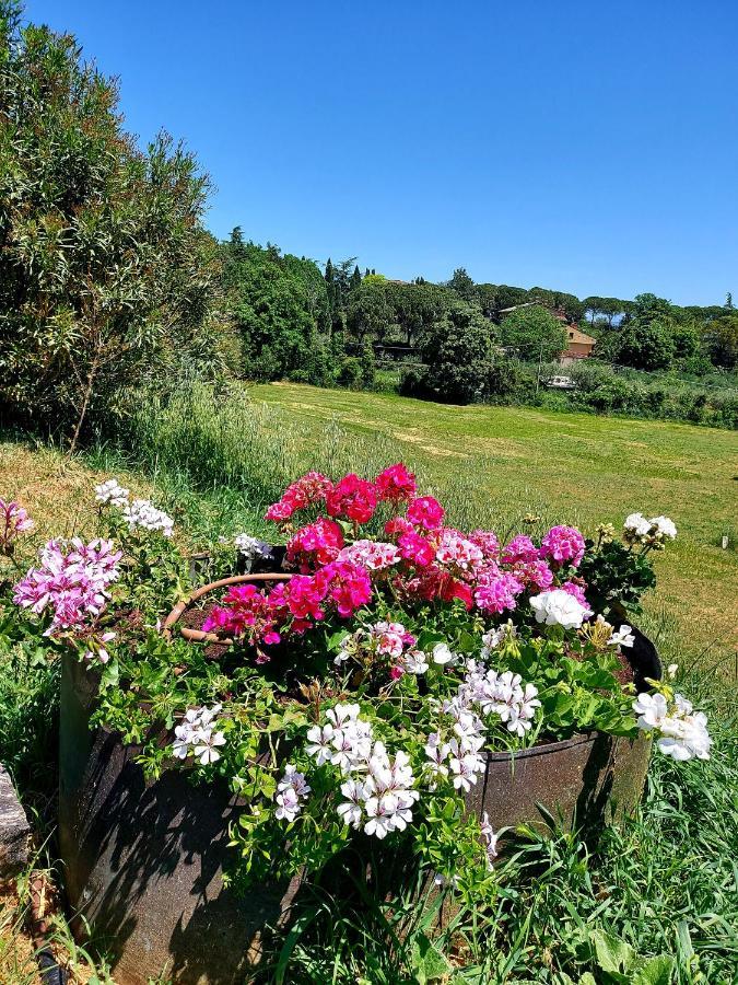Montebello Park Hotel Perugia Eksteriør bilde